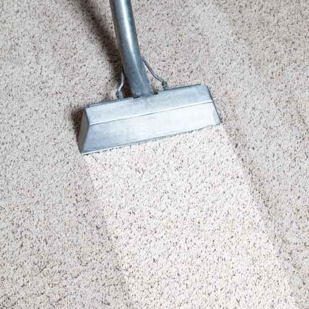 Benefits of Steam Carpet Cleaning Services