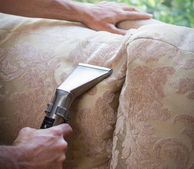 Moreno Professional Upholstery CLeaning Results