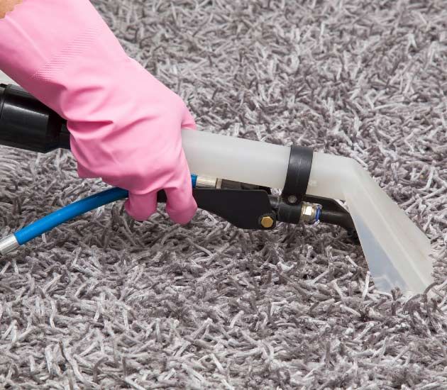 Moreno Professional Rug Cleaning Results