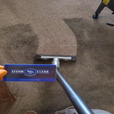 carpet cleaning results 4