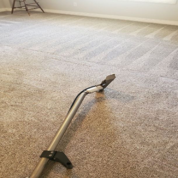 carpet cleaning results